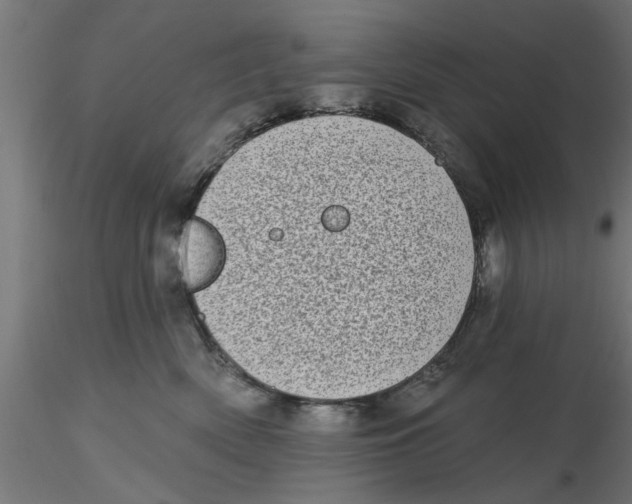 X0000116770522201001071219