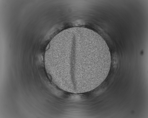 X0000116770523201001071219