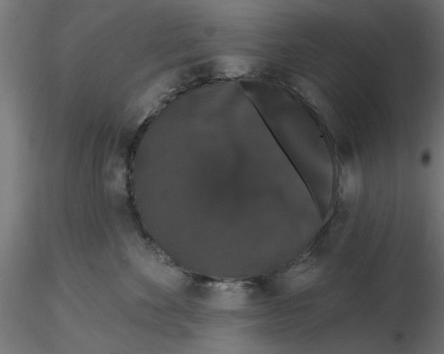 X0000116770524201001071219