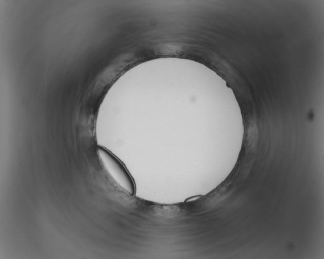 X0000116770525201001071219