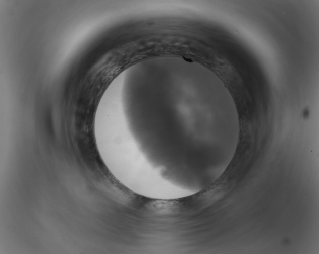 X0000116770526201001071219