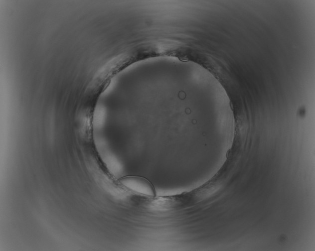 X0000116770527201001071219