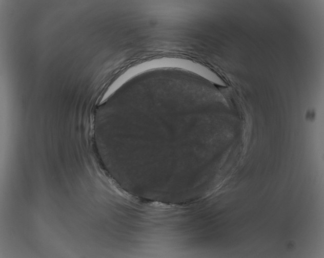 X0000116770528201001071219