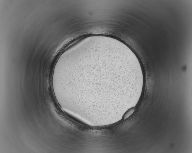 X0000116770530201001071218