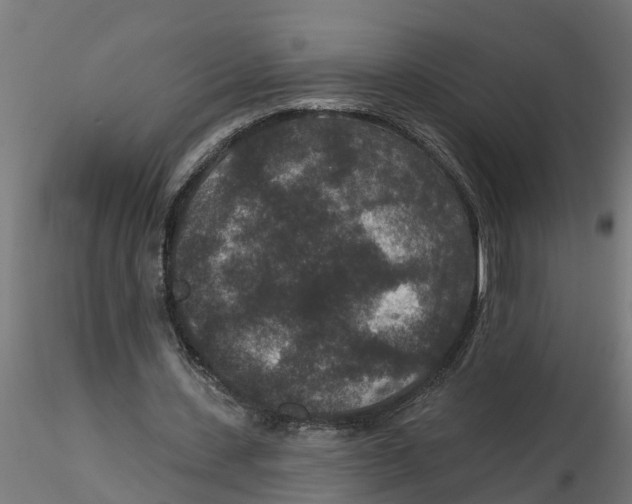 X0000116770531201001071218