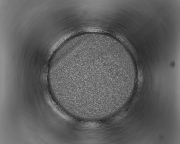 X0000116770533201001071218