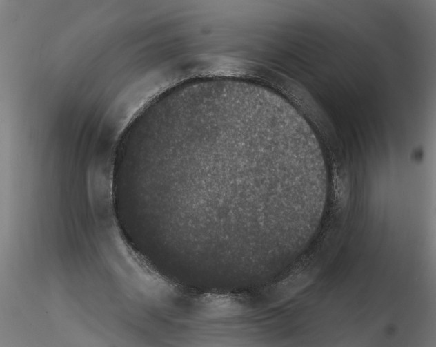 X0000116770534201001071218