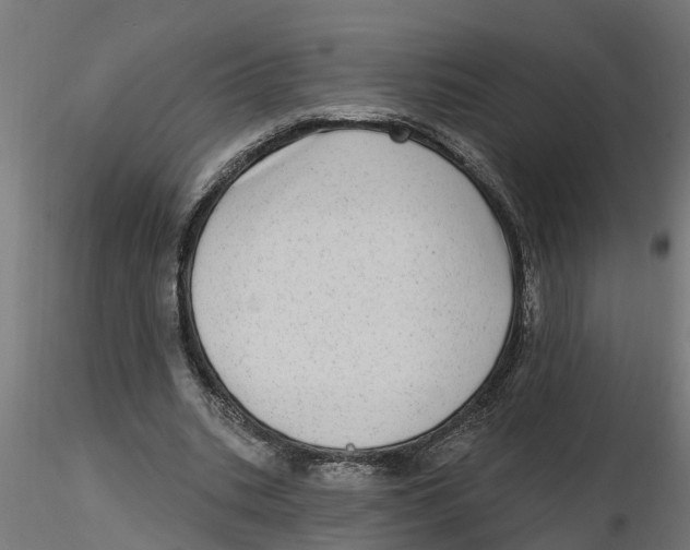 X0000116770535201001071218