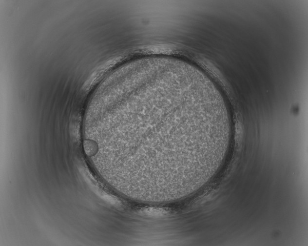 X0000116770537201001071218