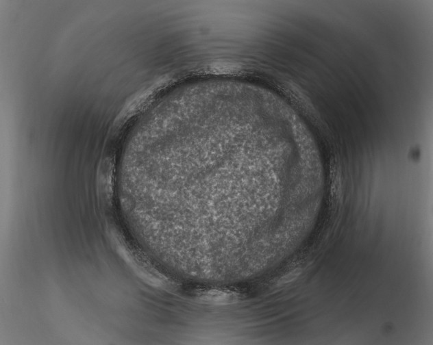 X0000116770542201001071218