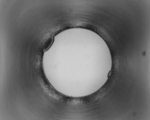 X0000116770546201001071218