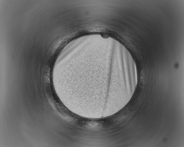 X0000116770547201001071218