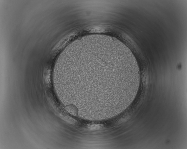 X0000116770549201001071218