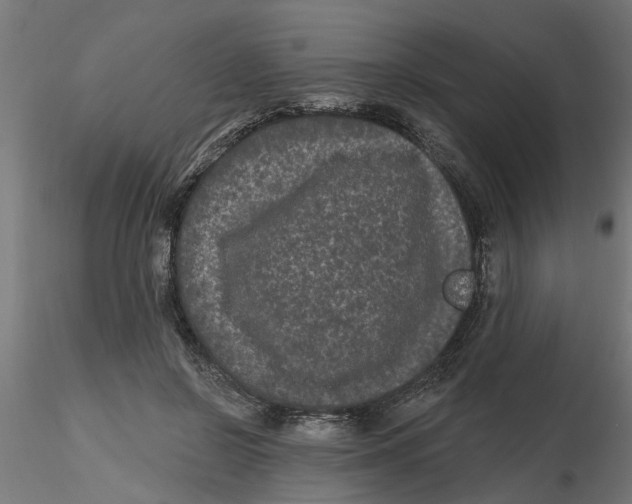 X0000116770550201001071218