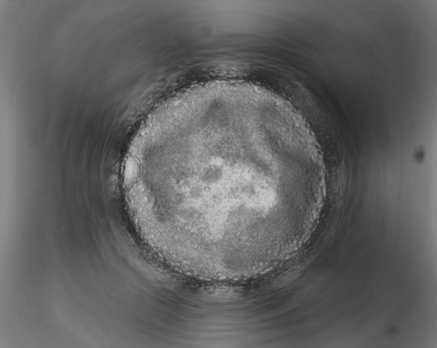 X0000116770553201001071218