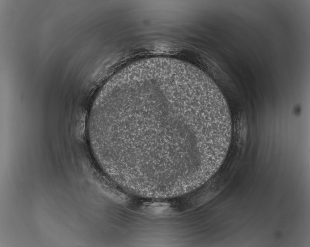 X0000116770554201001071218