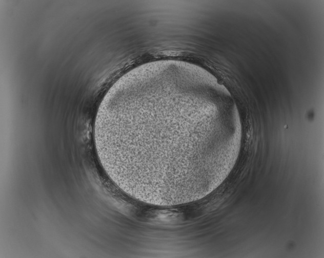 X0000116770555201001071218