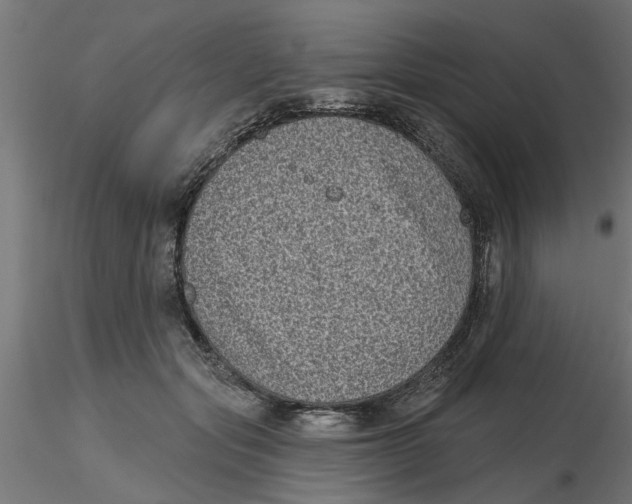 X0000116770557201001071218