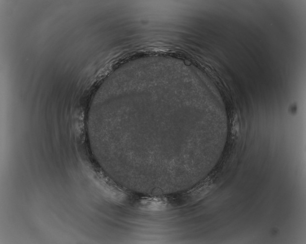 X0000116770559201001071218