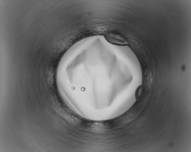 X0000116770562201001071218