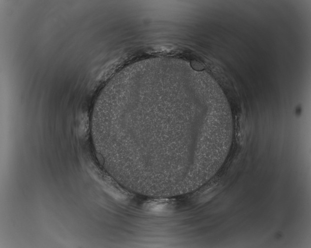 X0000116770563201001071218