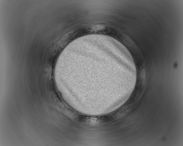 X0000116770565201001071218