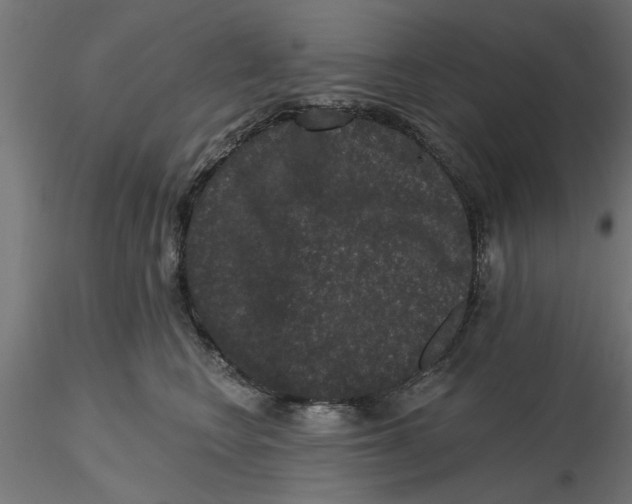 X0000116770566201001071218