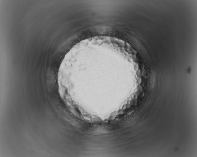 X0000116770569201001071218