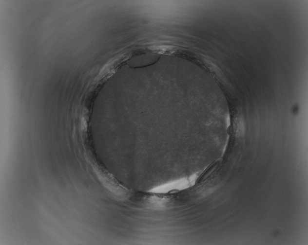 X0000116770570201001071218