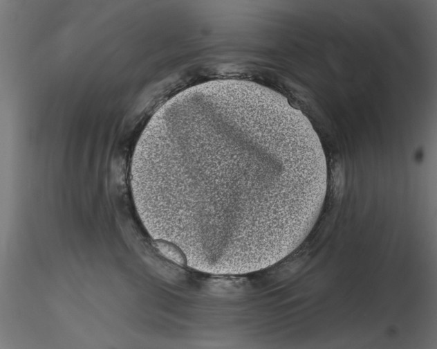 X0000116770571201001071218