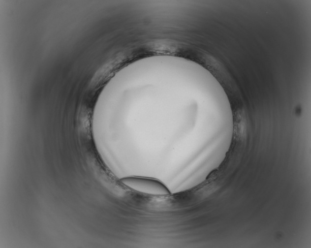 X0000116770573201001071219