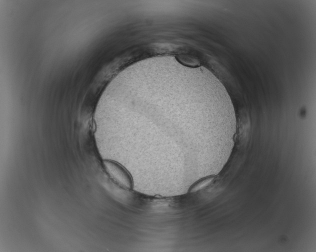 X0000116770574201001071219