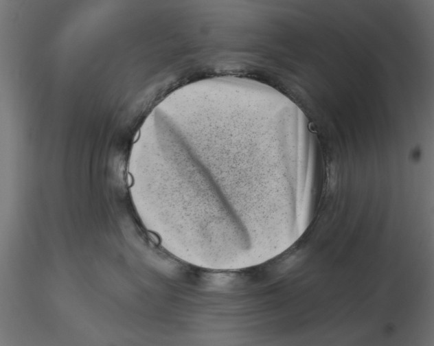 X0000116770575201001071219