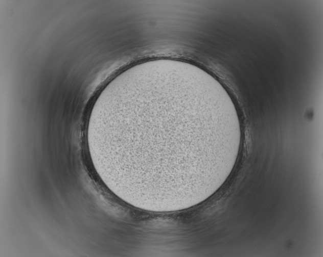 X0000116770578201001071218