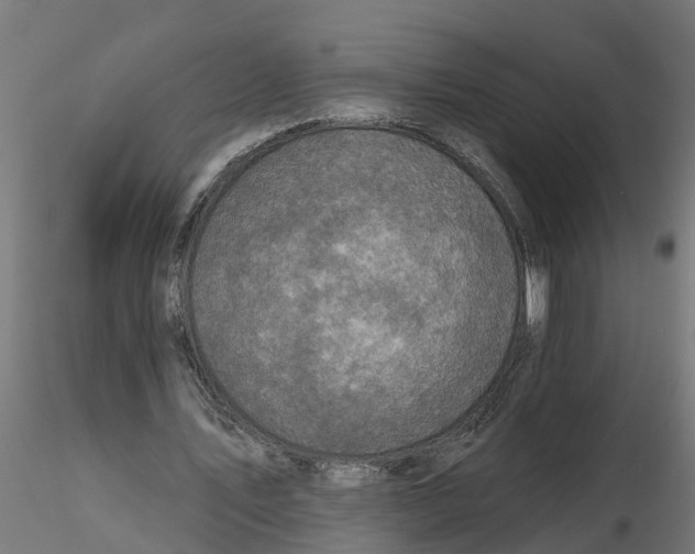 X0000116770579201001071218