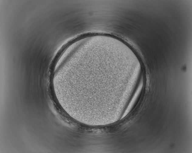 X0000116770580201001071218