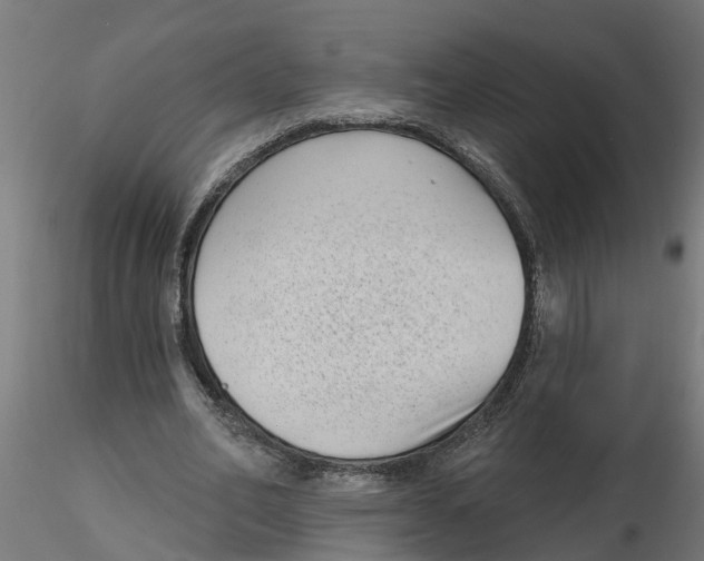 X0000116770582201001071218