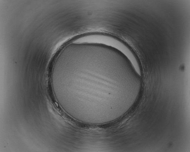 X0000116770583201001071218