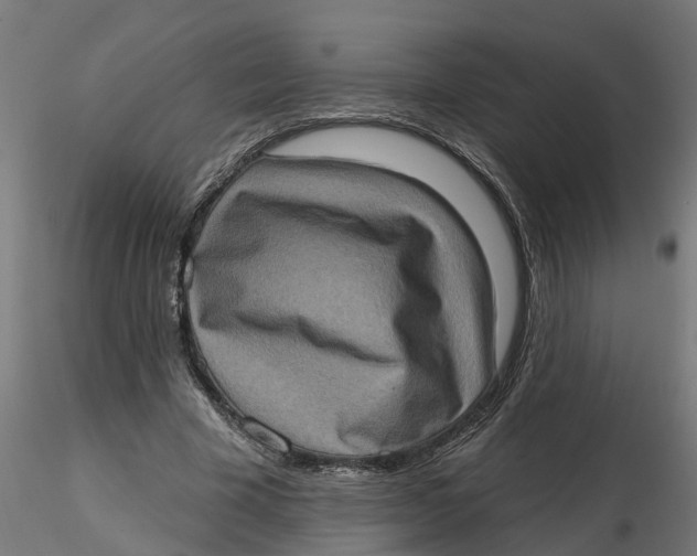 X0000116770585201001071218