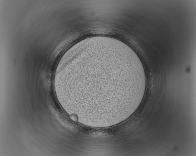 X0000116770586201001071218