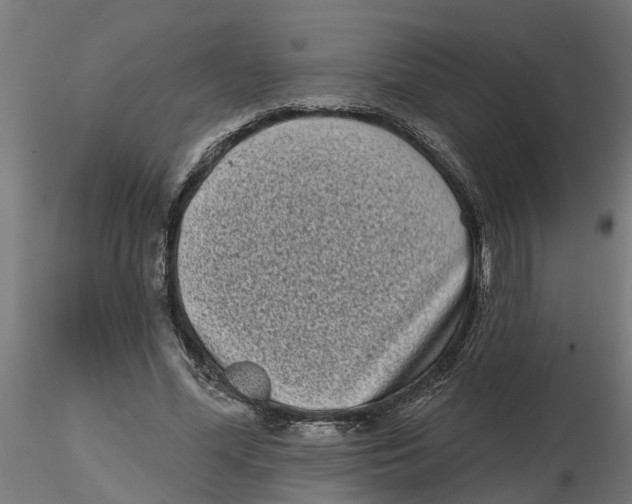 X0000116770588201001071218