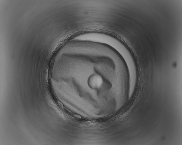 X0000116770589201001071218