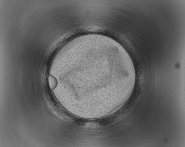 X0000116770591201001071218