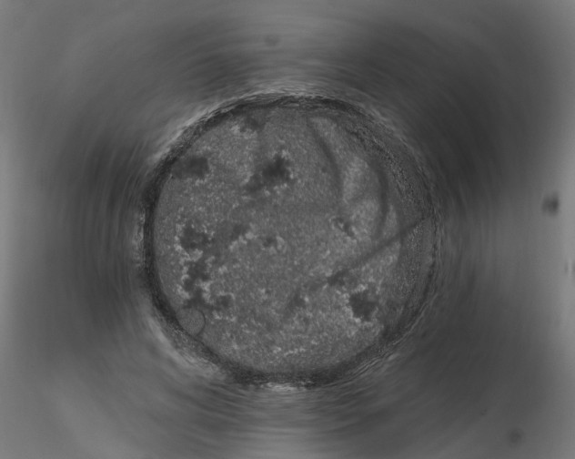 X0000116770592201001071218