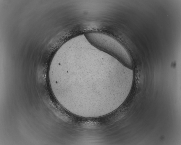 X0000116770593201001071218