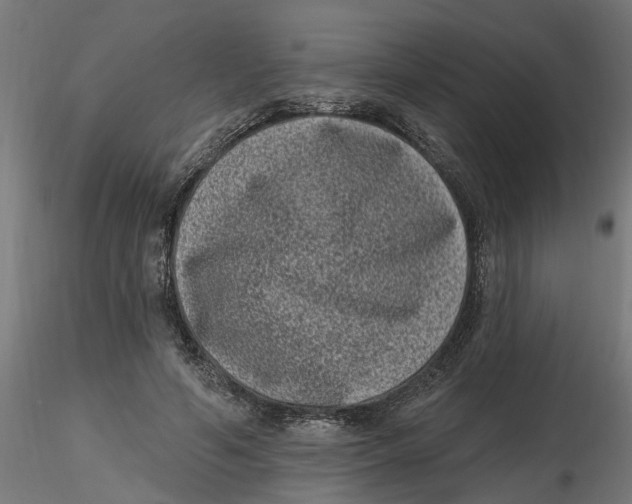 X0000116770594201001071218