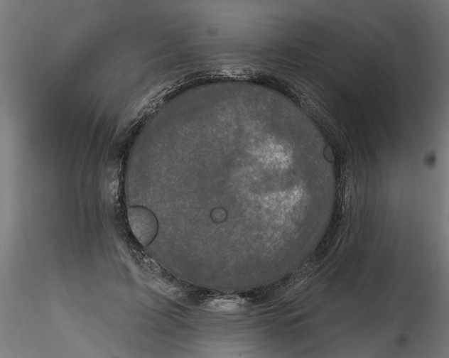 X0000116770595201001071218