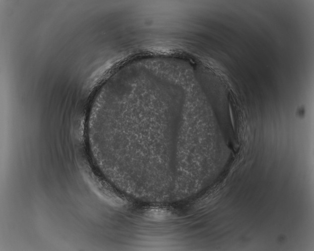 X0000116770596201001071218