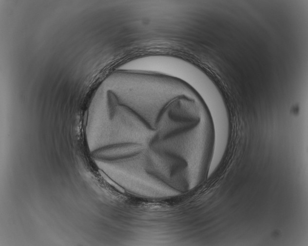 X0000116770597201001071218