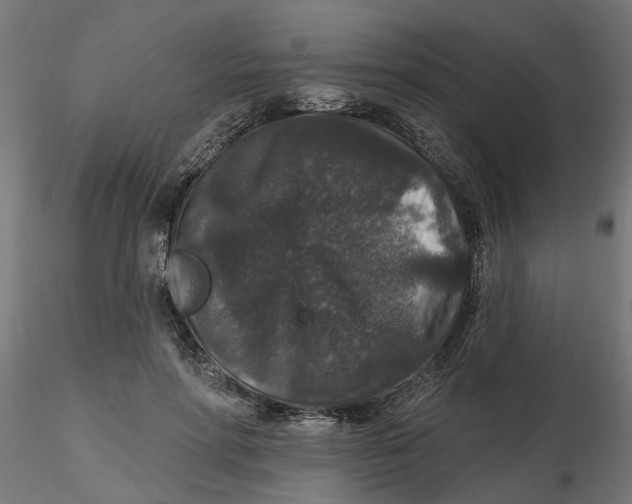 X0000116770598201001071218